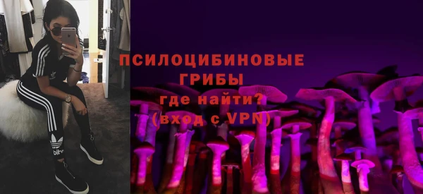 метадон Алексин