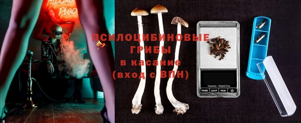 метадон Алексин