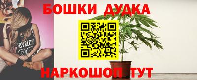 2c-b Новозыбков