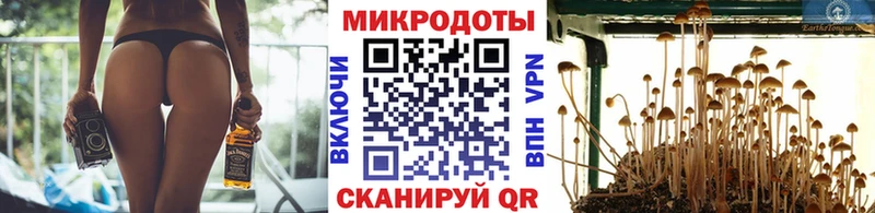 Галлюциногенные грибы мицелий  Череповец 