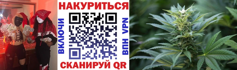 Канабис сатива как найти наркотики Череповец